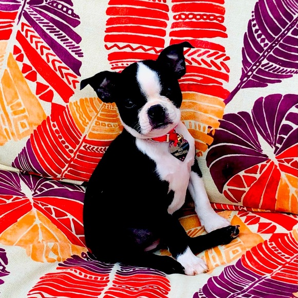 Please make mommy an offer and I will tell her to accept it.  😀 - Picture 1 of 1